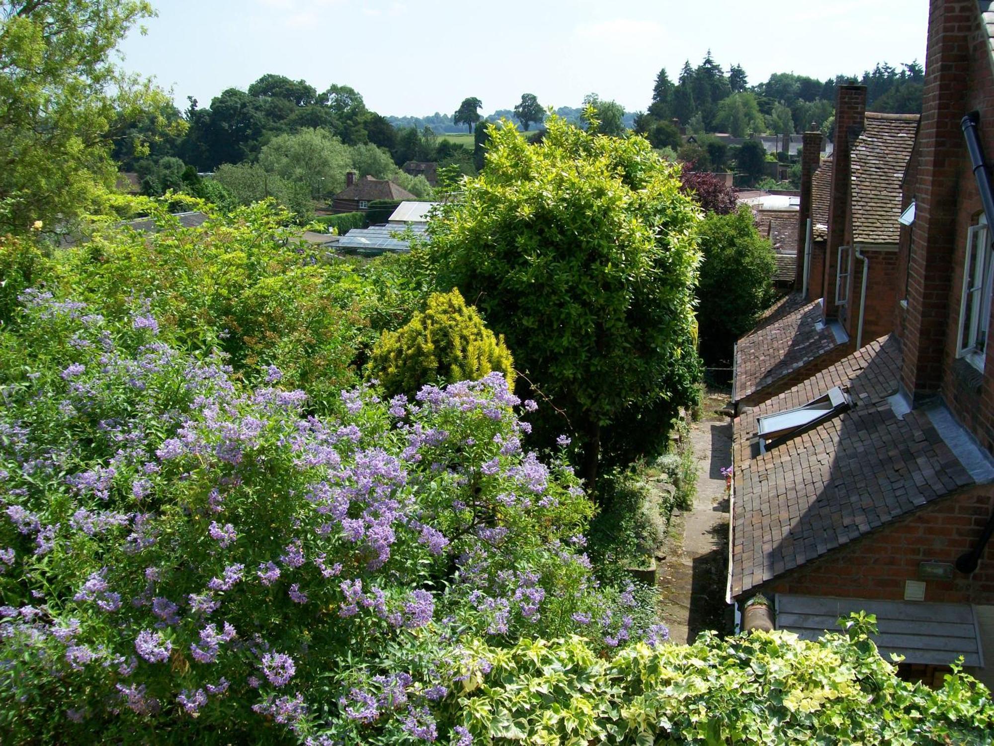 Frog Cottage, Ludlow - A Charming Townhouse For 4 Buitenkant foto